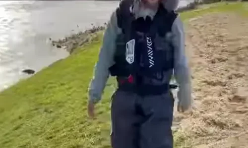 倉科カナの独身を貫く理由とは？結婚しない選択に隠された本音とは！？