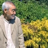 柄本明の息子の3人の真相｜実際の家族構成と子供たちの芸能活動まとめ！