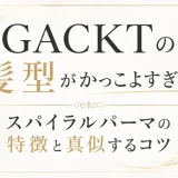 GACKTの髪型がかっこよすぎる！スパイラルパーマの特徴と真似するコツ